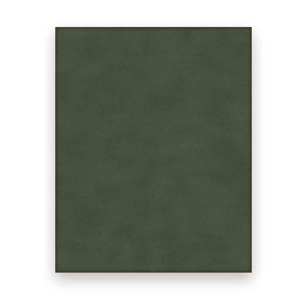 Intense in Olive, seen from above